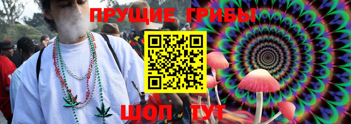 Псилоцибиновые грибы Cubensis Артёмовский